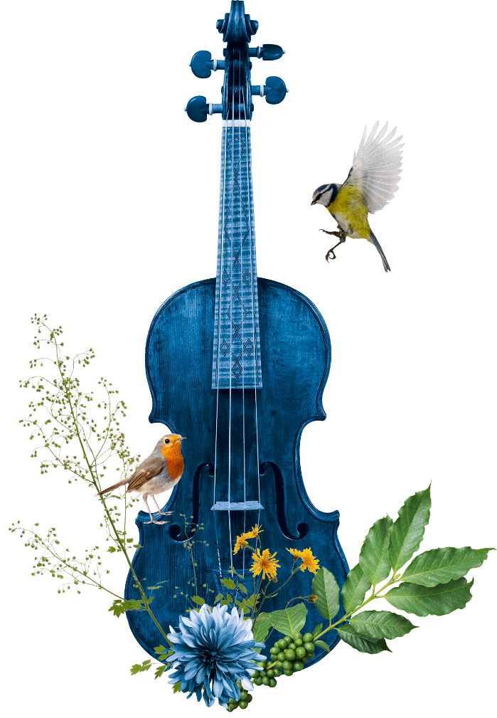 Cello Bachgesellschaft